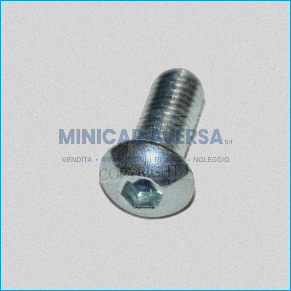 VITE M 8X20 X FLANGIA DISCO F. X DISCHI - 3601 (Q.TA 1 4 VITI ) - ORIGINALE