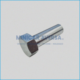 VITE FISS. PULEGGIA CONDOTTA - AIXAM GRECAV - R.DOC NON ORIGINALE