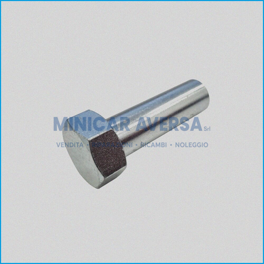 VITE FISS. PULEGGIA CONDOTTA - AIXAM GRECAV - R.DOC NON ORIGINALE