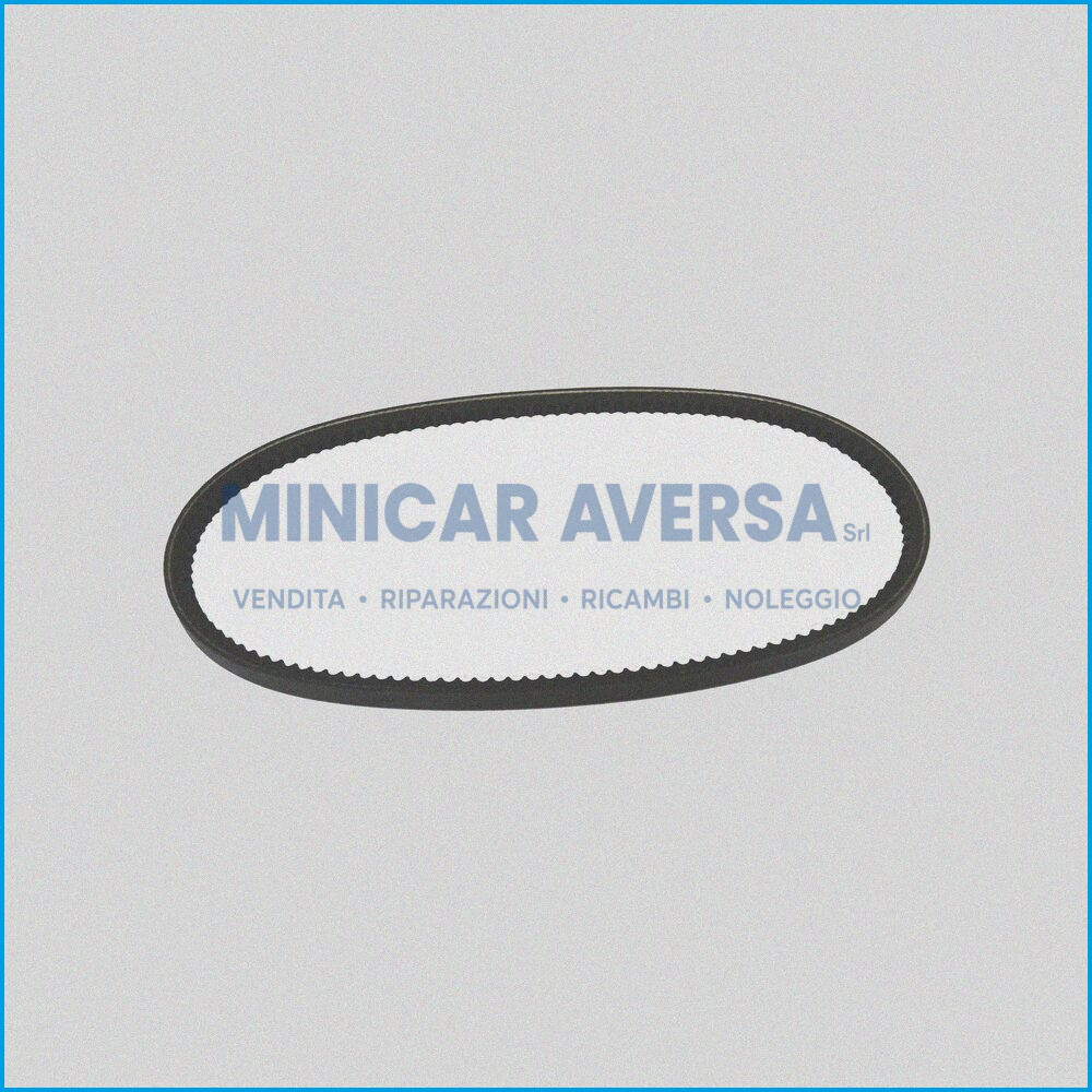 CINGHIA ALTERNATORE - LOMBARDINI - LIGIER - 1010375 – 10A x 670La - R.DOC NON ORIGINALE
