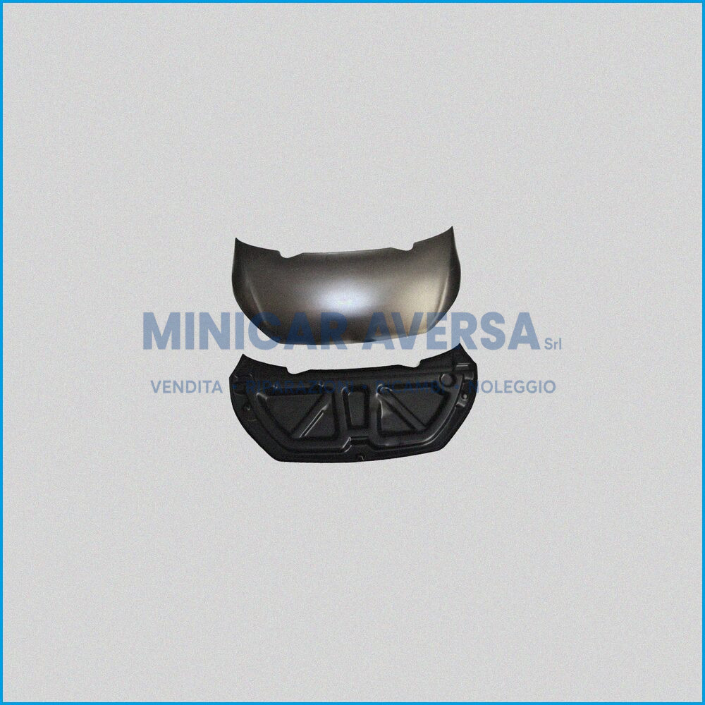 GRUPPO COFANO - AIXAM VISION 2013 - 7AY931 / 7AY932 - R.DOC NON ORIGINALE