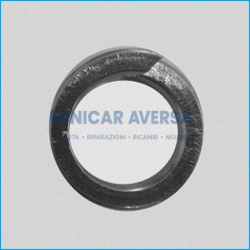 RONDELLA FISS. PULEGGIA CONDOTTA - AIXAM GRECAV - R.DOC NON ORIGINALE
