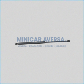 Molla A Gas - Interasse: 445Mm - Corsa: 180Mm - 721/741 7Aa101 (Molle Portellone) - R.Doc Non Originale