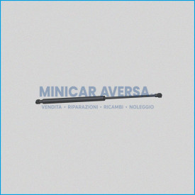 Molla A Gas Aixam - Interasse 485 Corsa 200 Crossover - 7Ar101 (Molle Portellone) - R.Doc Non Originale