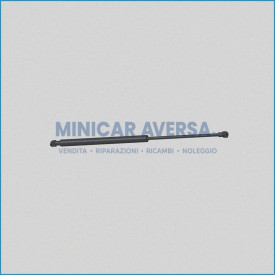 Molla A Gas - Interasse: 535Mm - Corsa: 220Mm - Microcar Mc1 Mc2 1006280(Molle Portellone) - R.Doc Non Originale