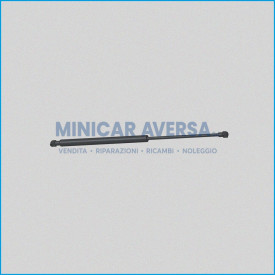 Molla A Gas - Interasse: 535Mm - Corsa: 220Mm - Ligier Ambra 081505L (Molle Portellone) - R.Doc Non Originale