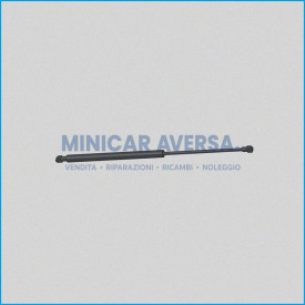 Molla A Gas - Interasse: 500Mm - Corsa: 200Mm - Jdm Albizia/Abaca 107079 (Molle Portellone) - R.Doc Non Originale