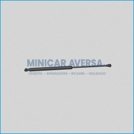 Molla A Gas - Interasse: 495Mm - Corsa: 200Mm - Bellier Divane Dvha14 (Molle Portellone) - R.Doc Non Originale