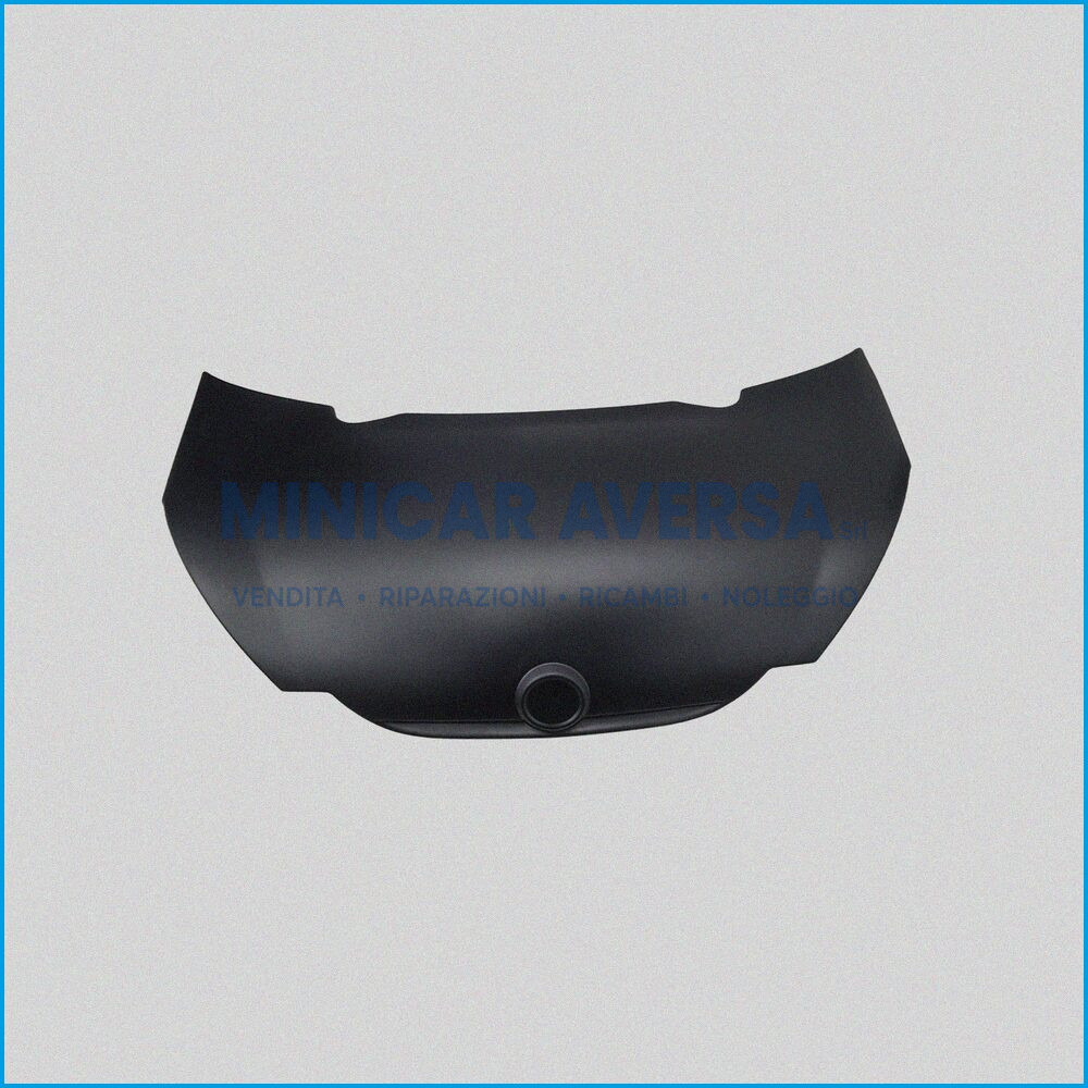 Pannello Cofano Esterno - Minauto 2011 - 7Xb931 - R.Doc Non Originale