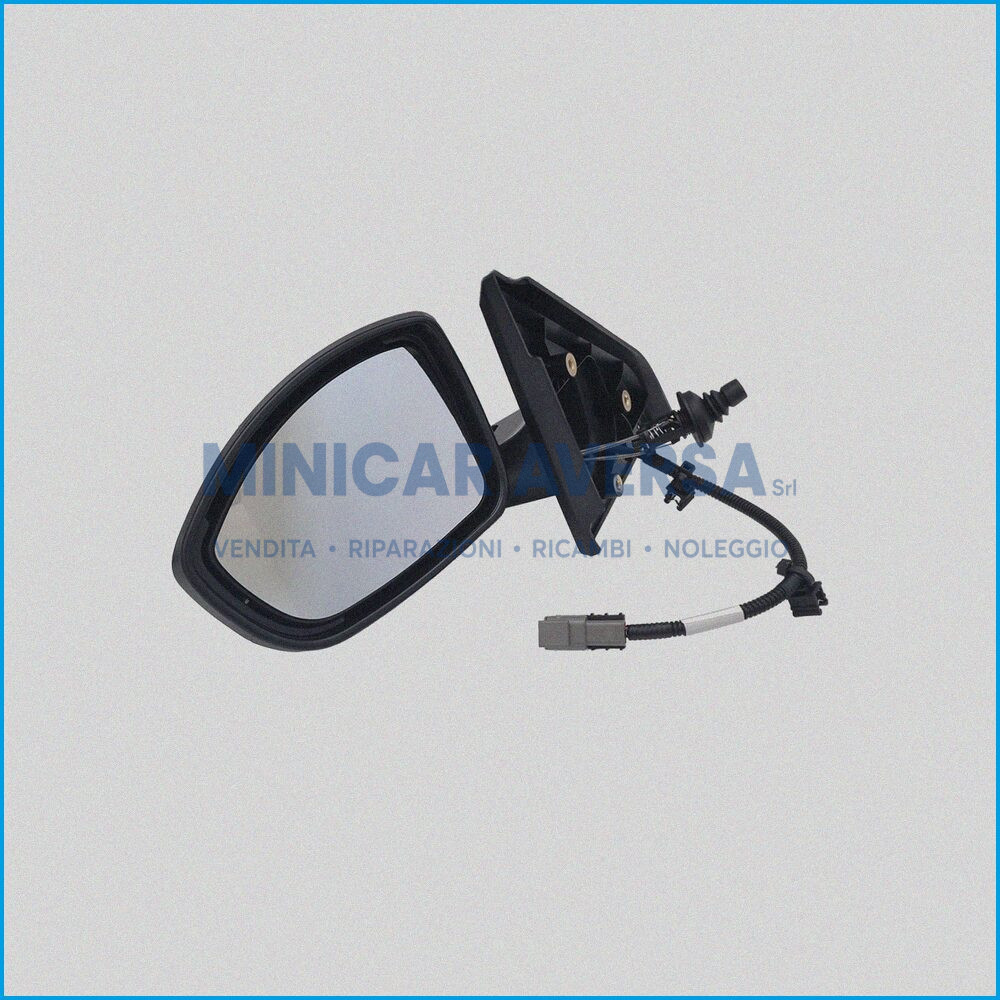Specchietto Sx - Ligier Js50 5°S. (Js64) - Con Freccia - 1421824 - R.Doc Non Originale