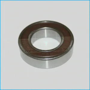 CUSCINETTO RUOTA POSTERIORE - LIGIER 0154029 - AIXAM 5A4 - 510CC004 - GRECAV BF754 - 6005 R.DOC NON ORIGINALE