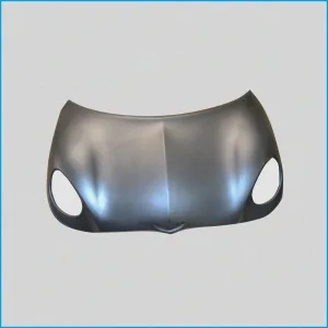 COFANO - DA VERNICIARE - CHATENET CH26 V1-V2 - 02.17.444 - 02.17.308 - R.DOC NON ORIGINALE