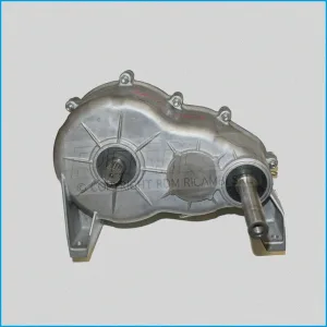 RIDUTTORE / DIFFERENZIALE 1:8 - LIGIER - 0130172 (EX 13.0.172) - ORIGINALE