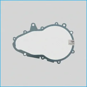 GUARNIZIONE RIDUTTORE - LIGIER - 13.1.821 - 313808017 - R.DOC NON ORIGINALE