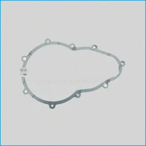 GUARNIZIONE RIDUTTORE - LIGIER VECCHIO TIPO - 311608017 - R.DOC NON ORIGINALE