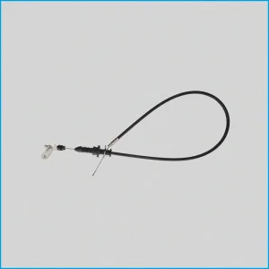 CAVO ACCELERATORE - LIGIER AMBRA - 0117062 (EX 01.17.062) - R.DOC NON ORIGINALE