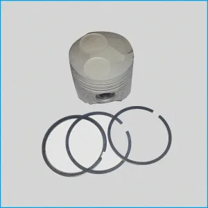 PISTONE COMPLETO DI FASCE D.73.00 +10 - LOMBARDINI LDW502 ED0065014290-S - R.DOC NON ORIGINALE