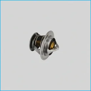 VALVOLA PRESSIONE / TERMOSTATO - LOMBARDINI - ED0091951240-S ( 0640411 ) - R.DOC NON ORIGINALE