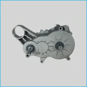 RIDUTTORE DIFFERENZIALE 1:8 – LIGIER JS50 – DUE 3/6 – MGO 3 4 – 1409724 - R.DOC NON ORIGINALE