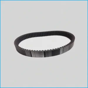 CINGHIA VARIATORE - M.GO - 1006560 BD52-2177 P50.4 - JS50 - MOT442 - ECONOMY BELT - R.DOC NON ORIGINALE