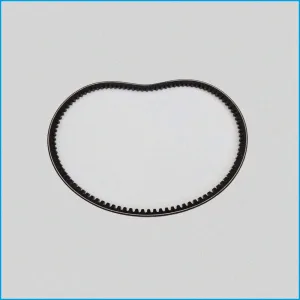 CINGHIA ALTERNATORE - LOMBARDINI LDW480 ED0024400080-S CH40/CH46 10X665 - R.DOC NON ORIGINALE