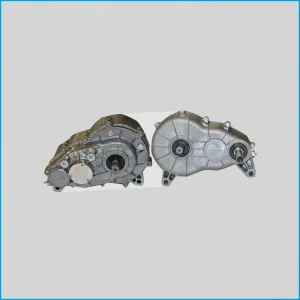 RIDUTTORE / DIFFERENZIALE 1:11 - MICROCAR V2 - 1010206 - ORIGINALE