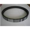 Riferimento Aixam 3MDP23A - CINGHIA