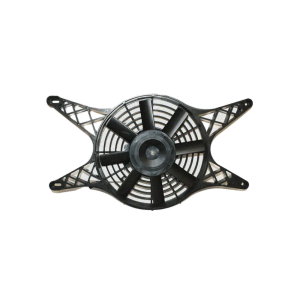 ELETTROVENTOLA - LIGIER - 0118425 ( EX 11.8.425 ) - ORIGINALE