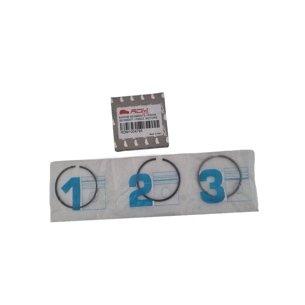 SERIE SEGMENTI / FASCE MOTORE - YANMAR 2TNE68 - 1004795 - 119265-22500 - R.DOC NON ORIGINALE