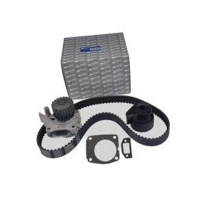 KIT DISTRIBUZIONE ECONOMY (CON POMPA ACQUA, CINGHIA CON GUARNIZIONI E GALOPPINO) - MOTORE FOCS KOHLER LOMBARDINI LDW 502 – ED0048980750-S - 1402423 / 1402423 - R.DOC NON ORIGINALE
